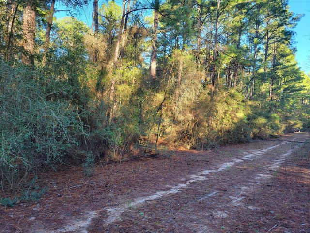 TBD Sioux Drive Drive, Hempstead, TX 77445