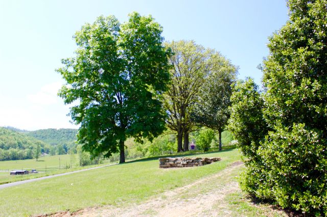 2120 Green Mountain Rd, NE, Cookeville, TN 38506