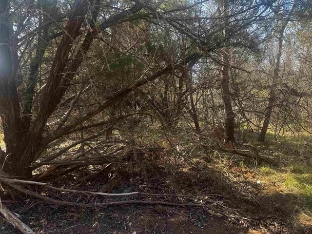 Lot 12 Longhorn DR, Burnet, TX 78611