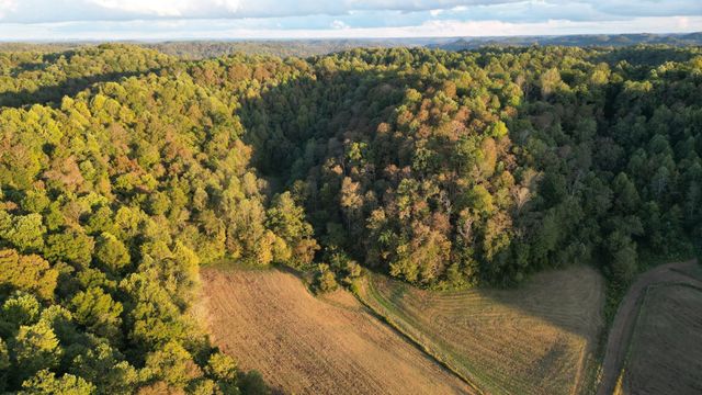 46 Carver Hollow Lane, Pleasant Shade, TN 37145