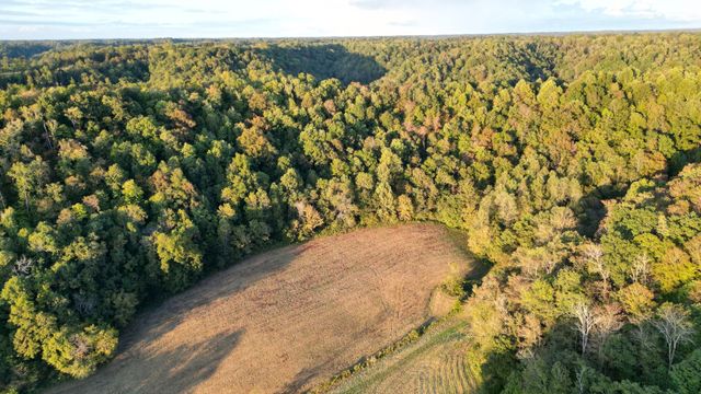 46 Carver Hollow Lane, Pleasant Shade, TN 37145