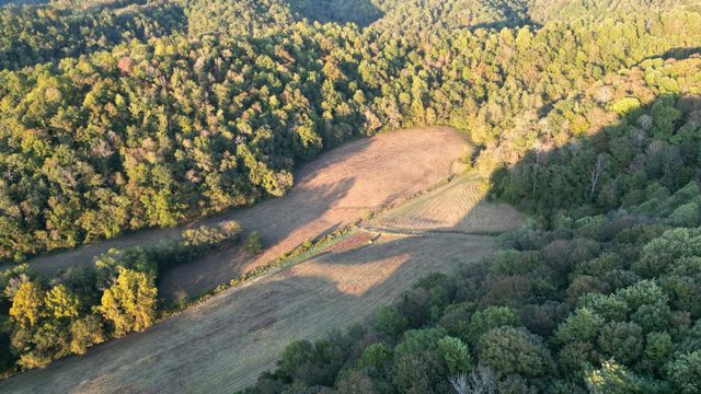 46 Carver Hollow Lane, Pleasant Shade, TN 37145