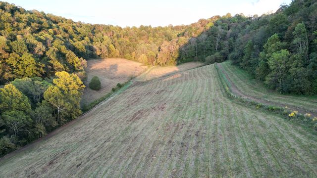 46 Carver Hollow Lane, Pleasant Shade, TN 37145