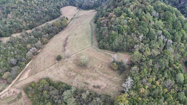 46 Carver Hollow Lane, Pleasant Shade, TN 37145