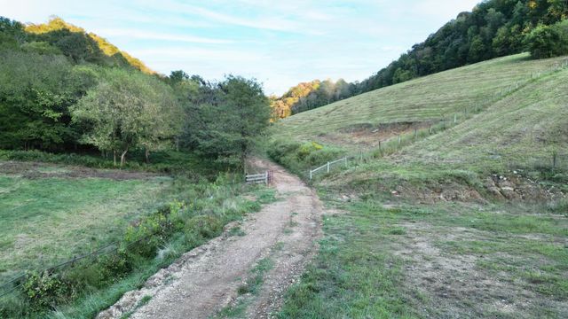 46 Carver Hollow Lane, Pleasant Shade, TN 37145