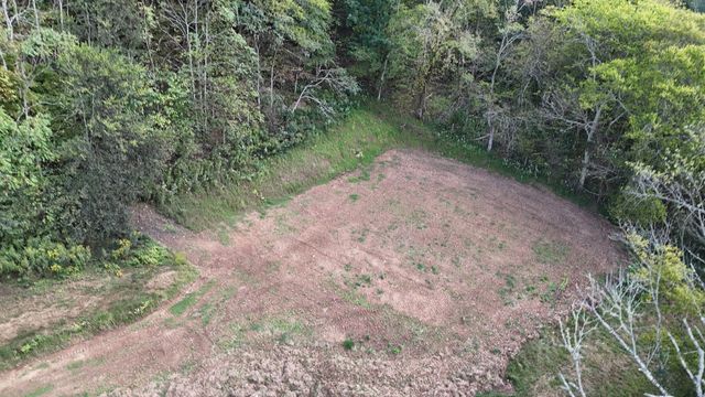 46 Carver Hollow Lane, Pleasant Shade, TN 37145