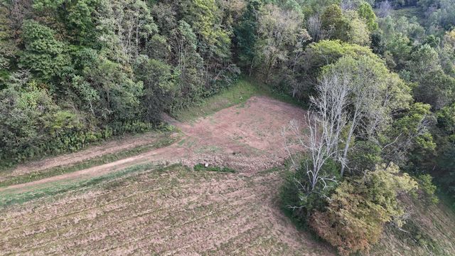 46 Carver Hollow Lane, Pleasant Shade, TN 37145