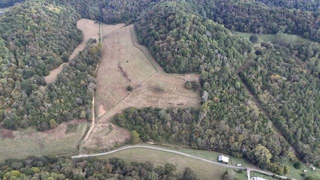 46 Carver Hollow Lane, Pleasant Shade, TN 37145