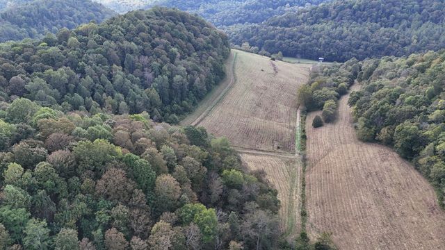 46 Carver Hollow Lane, Pleasant Shade, TN 37145