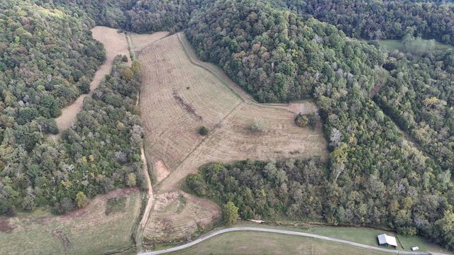 46 Carver Hollow Lane, Pleasant Shade, TN 37145