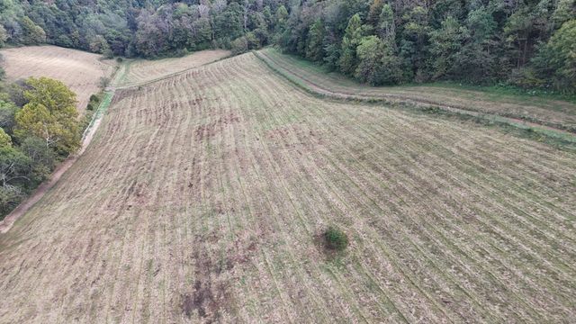 46 Carver Hollow Lane, Pleasant Shade, TN 37145