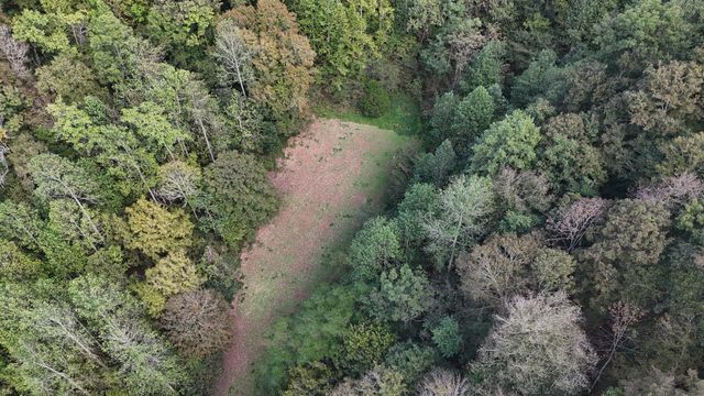 46 Carver Hollow Lane, Pleasant Shade, TN 37145