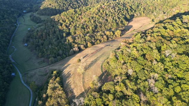 46 Carver Hollow Lane, Pleasant Shade, TN 37145