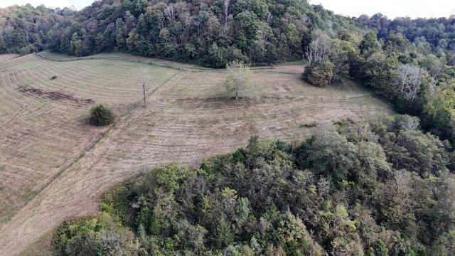 46 Carver Hollow Lane, Pleasant Shade, TN 37145