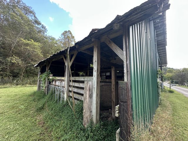 46 Carver Hollow Lane, Pleasant Shade, TN 37145