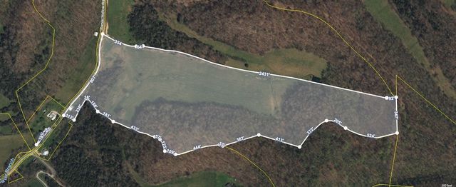 46 Carver Hollow Lane, Pleasant Shade, TN 37145