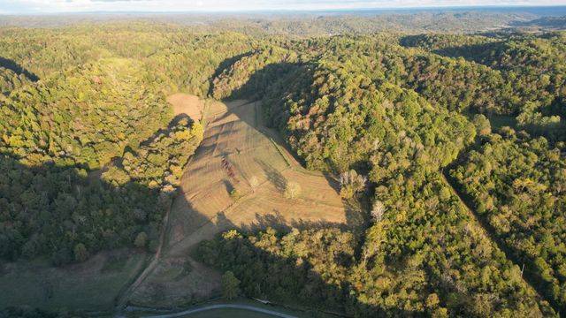 46 Carver Hollow Lane, Pleasant Shade, TN 37145