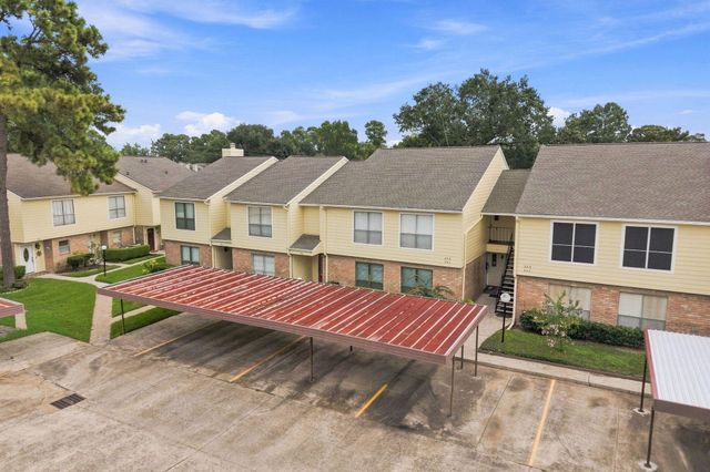 14515 Wunderlich Drive 305, Houston, TX 77069