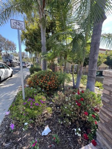 1681 BAYVIEW HEIGHTS 31, San Diego, CA 92105