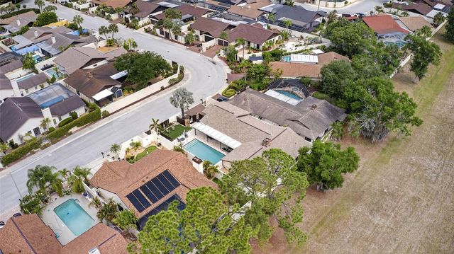 13522 AVISTA DRIVE, Tampa, FL 33624