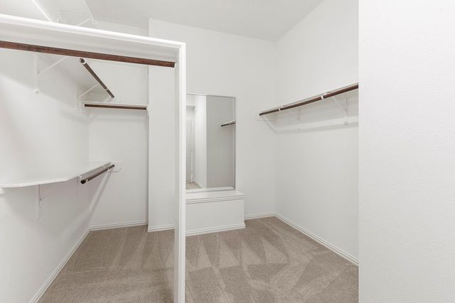 6 Hithervale Court, The Woodlands, TX 77382