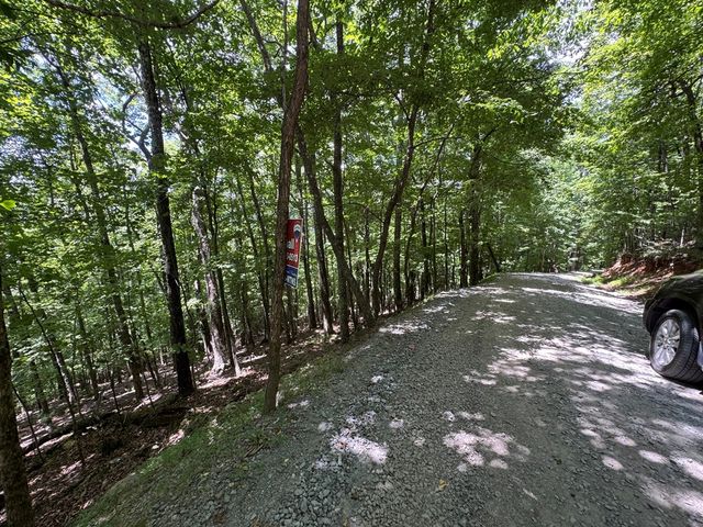 Lot 38 Picklesimer Mountain, Morganton, GA 30560