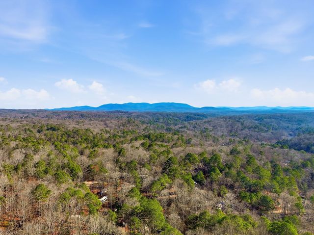 1883 Newport Drive, Ellijay, GA 30540