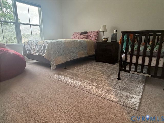 13704 Randolph Pond Ln, Midlothian, VA 23114