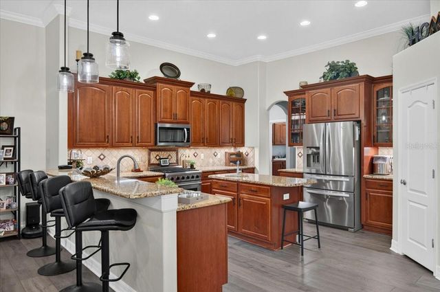 16410 IVY LAKE DRIVE, Odessa, FL 33556