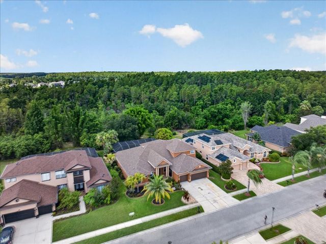 16410 IVY LAKE DRIVE, Odessa, FL 33556