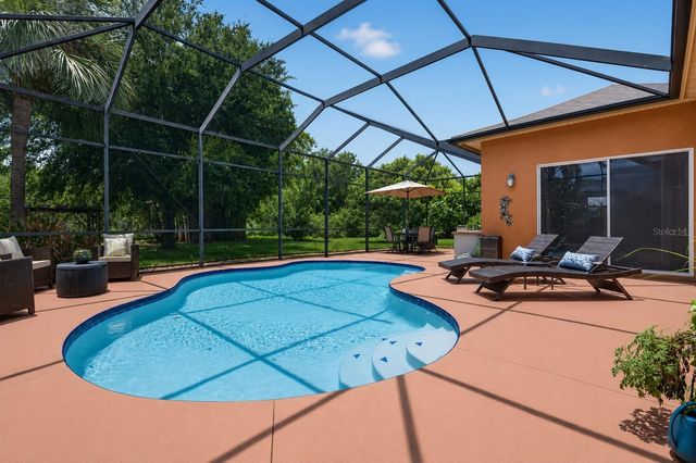 16410 IVY LAKE DRIVE, Odessa, FL 33556