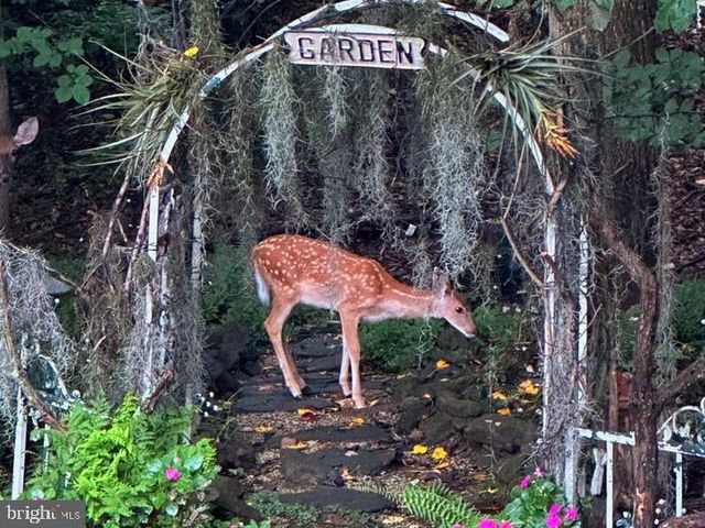 536 DAVID DR, Bel Air, MD 21015