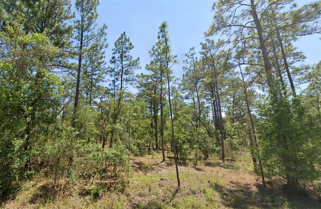 00 NW SHAMROCK AVENUE, Dunnellon, FL 34431