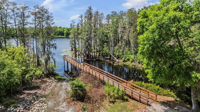 14229 DAMSELFLY DRIVE, Tampa, FL 33625
