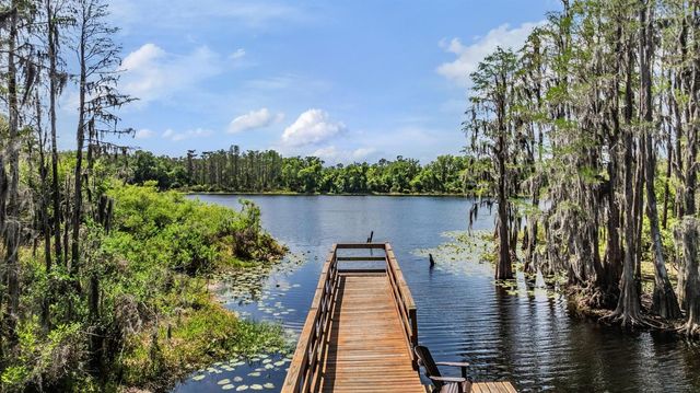 14229 DAMSELFLY DRIVE, Tampa, FL 33625