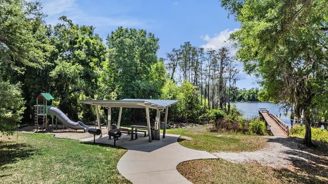 14229 DAMSELFLY DRIVE, Tampa, FL 33625
