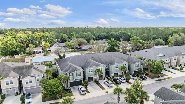14229 DAMSELFLY DRIVE, Tampa, FL 33625