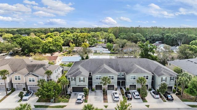 14229 DAMSELFLY DRIVE, Tampa, FL 33625