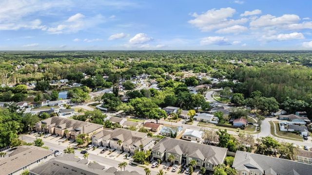 14229 DAMSELFLY DRIVE, Tampa, FL 33625