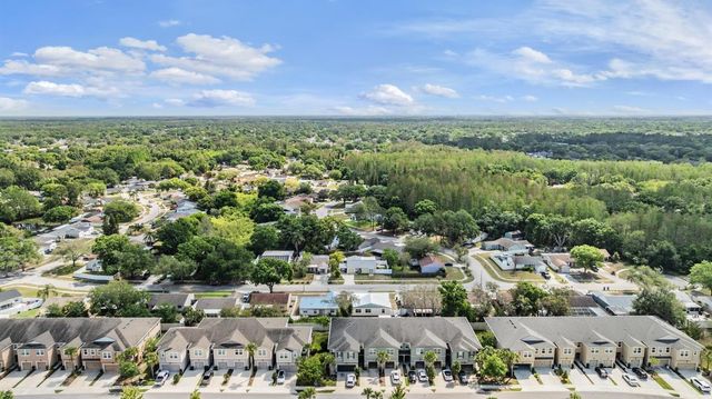 14229 DAMSELFLY DRIVE, Tampa, FL 33625