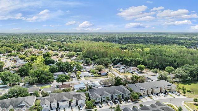 14229 DAMSELFLY DRIVE, Tampa, FL 33625