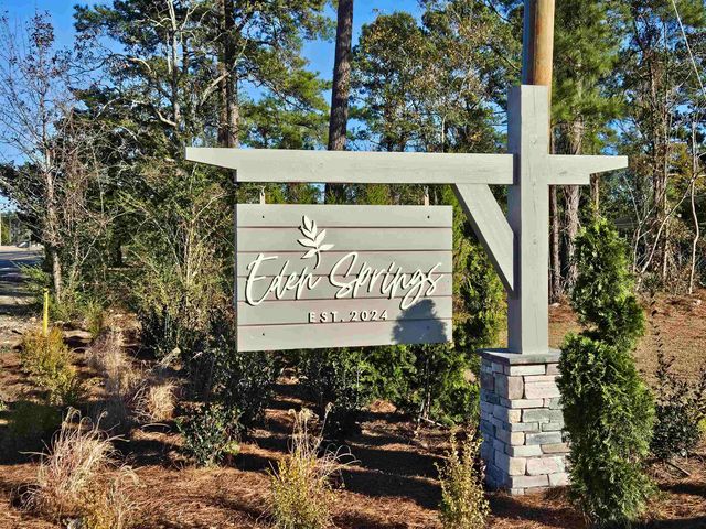 407 Hadley Springs Ave, Longs, SC 29568