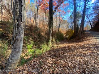 Mountain Side Lane, Rocky Top, TN 37769