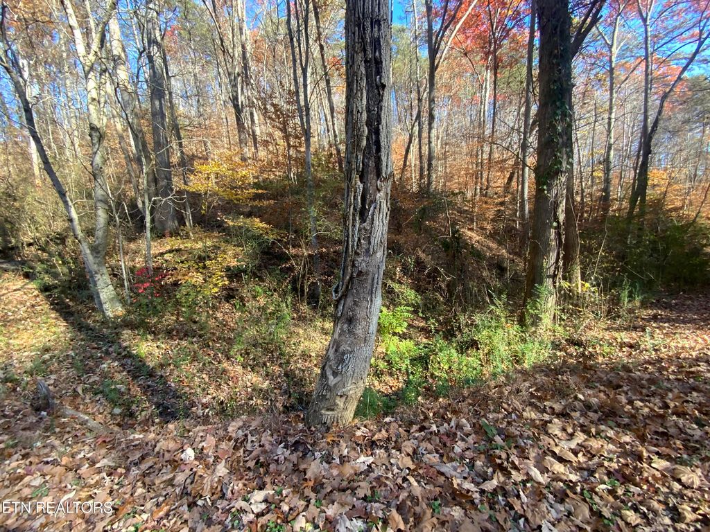 Mountain Side Lane, Rocky Top, TN 37769