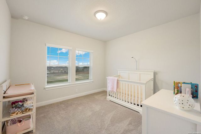 1733 Hidden Fox, New Braunfels, TX 78132