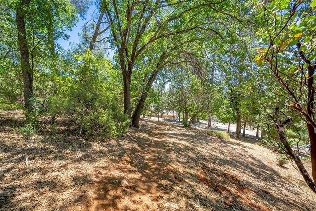2901 Hermosa Ct, Camino, CA 95709