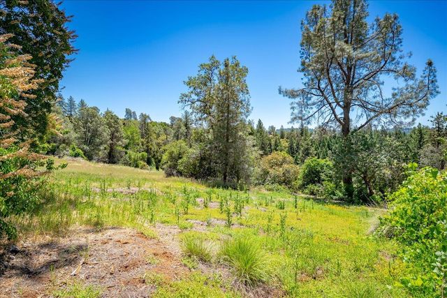 2901 Hermosa Ct, Camino, CA 95709