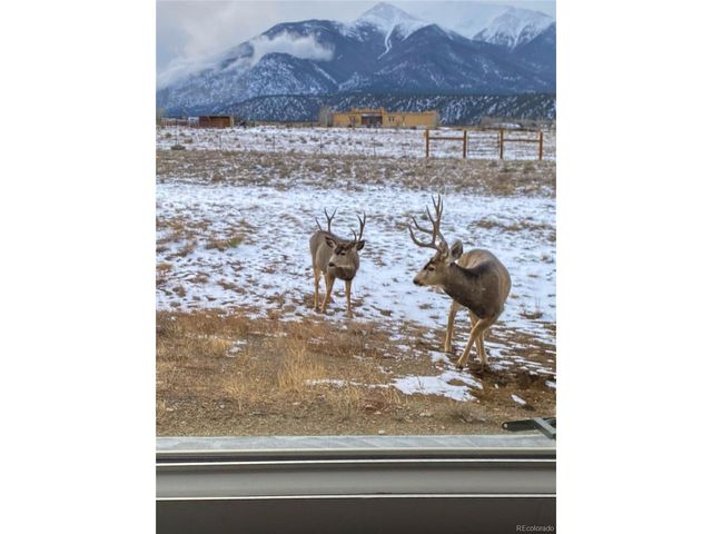 12910 County Road 162, Nathrop, CO 81236