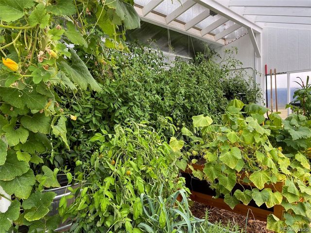 12910 County Road 162, Nathrop, CO 81236