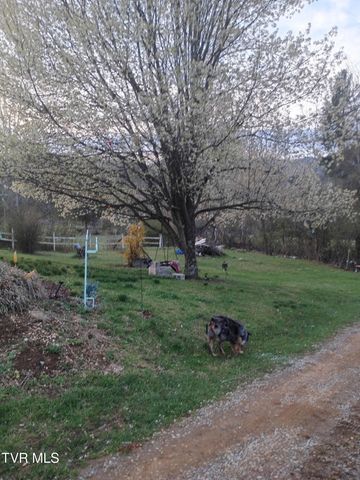 105 Samps Hollow Road, Elizabethton, TN 37643
